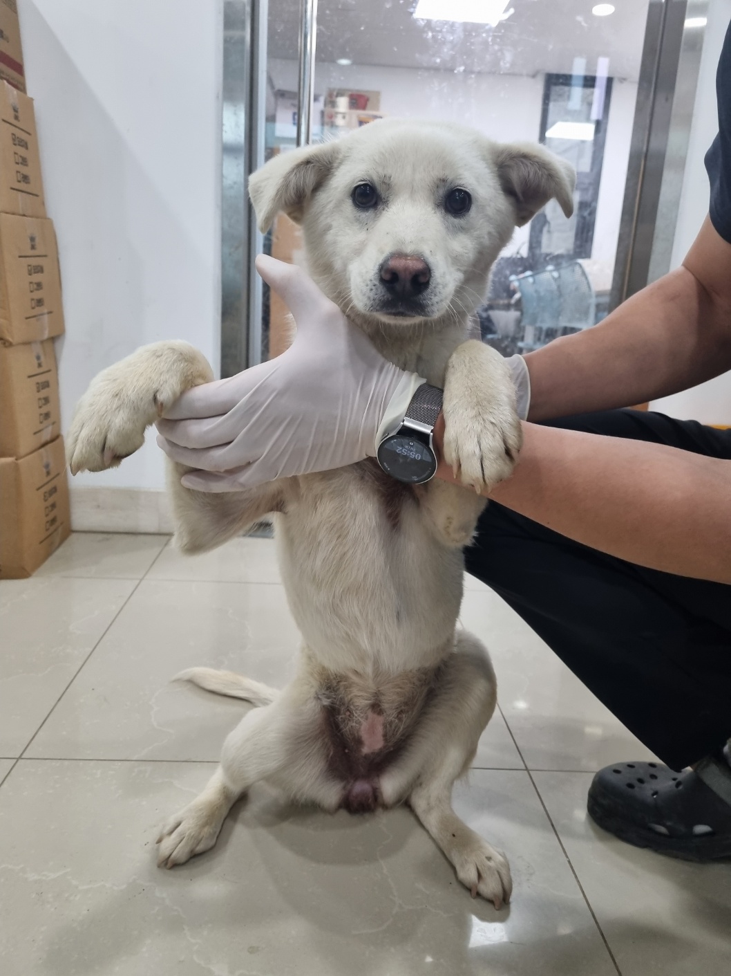반려동물보호센터_443571202400909