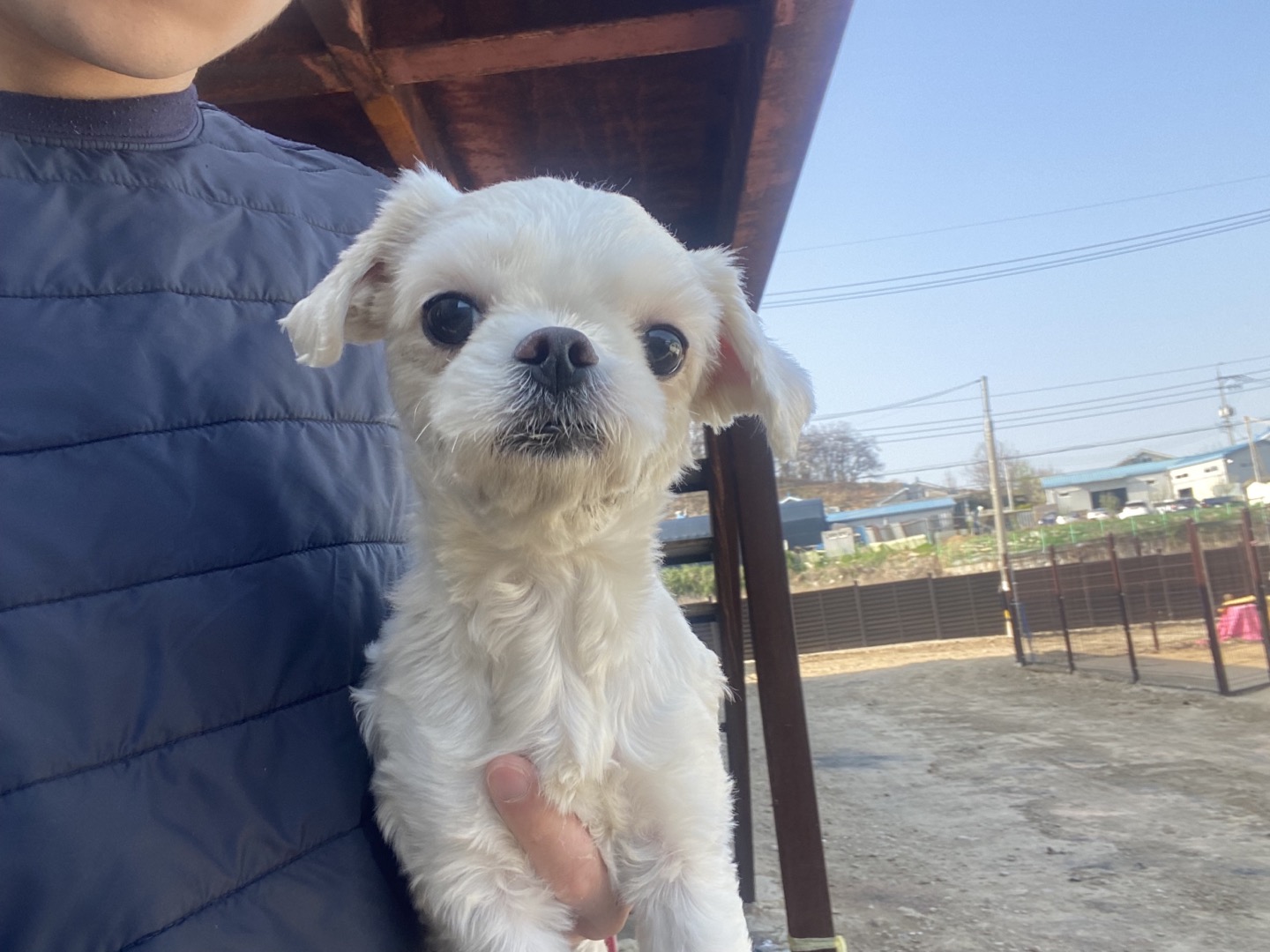 한국야생동물보호협회_441393202400712