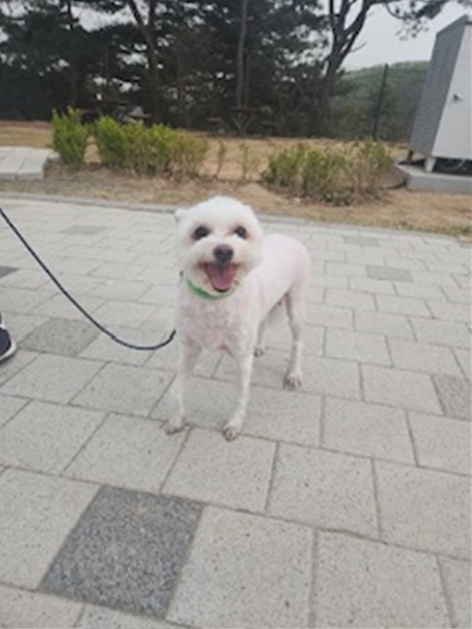 시흥동물누리보호센터_441401202400415