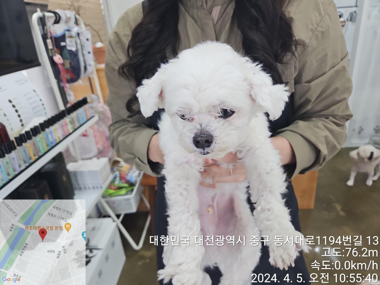 대전동물보호센터_430365202400103