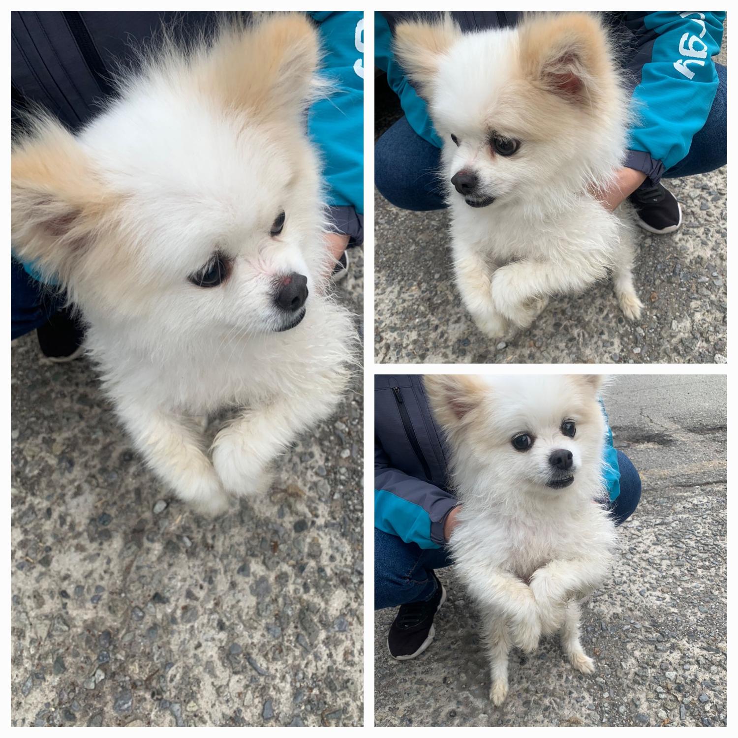 유기동물보호소_446481202400177