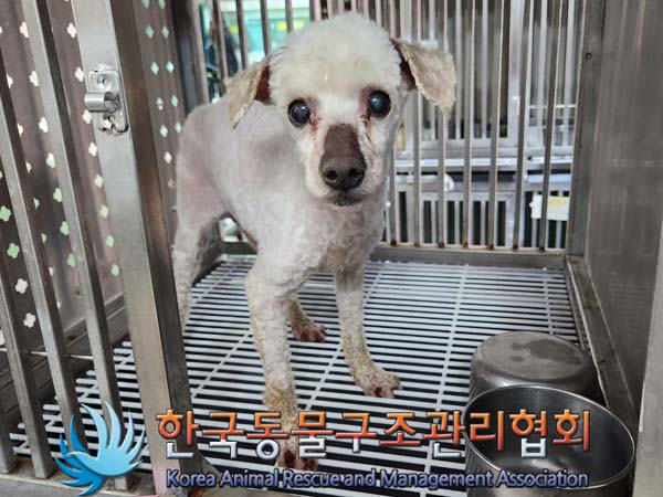 한국동물구조관리협회_411301202400097