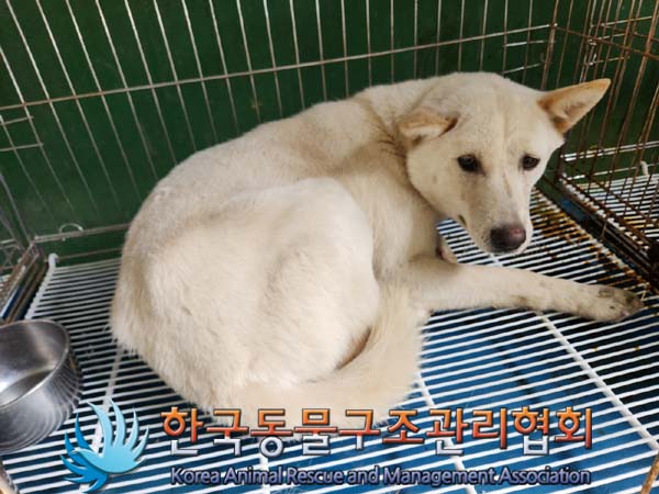 한국동물구조관리협회_441406202400561