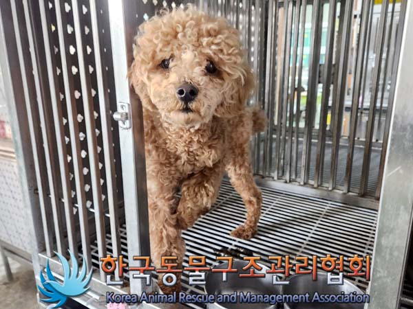 한국동물구조관리협회_441392202400065