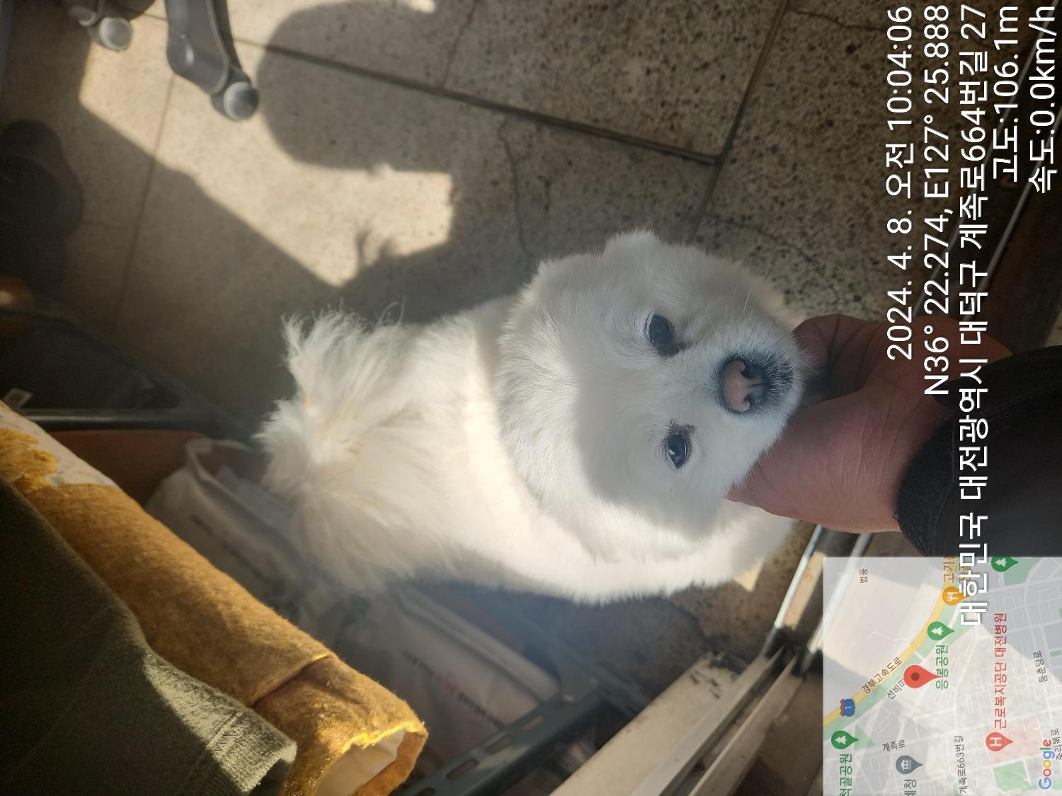 대전동물보호센터_430368202400065
