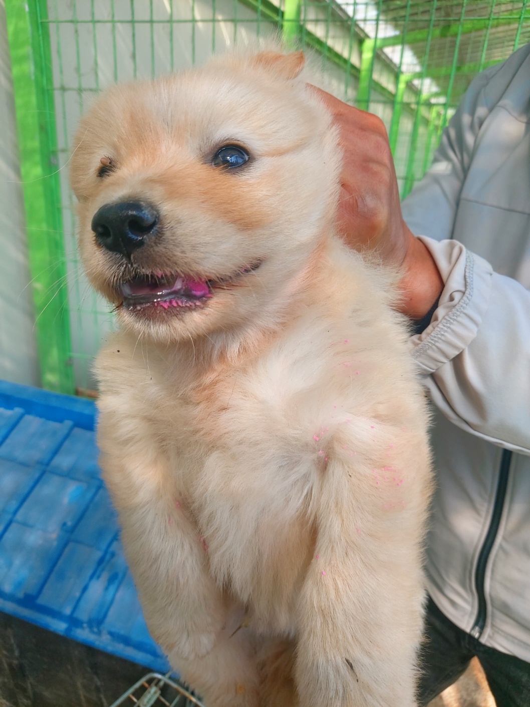 전북말산업복합센터_445471202400196