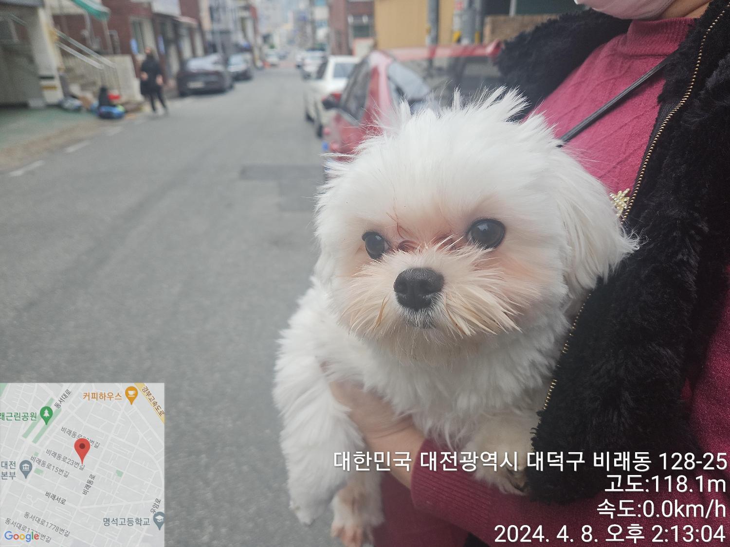 대전동물보호센터_430368202400066