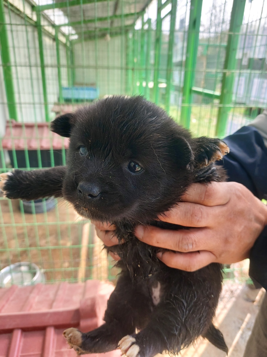 전북말산업복합센터_445471202400195