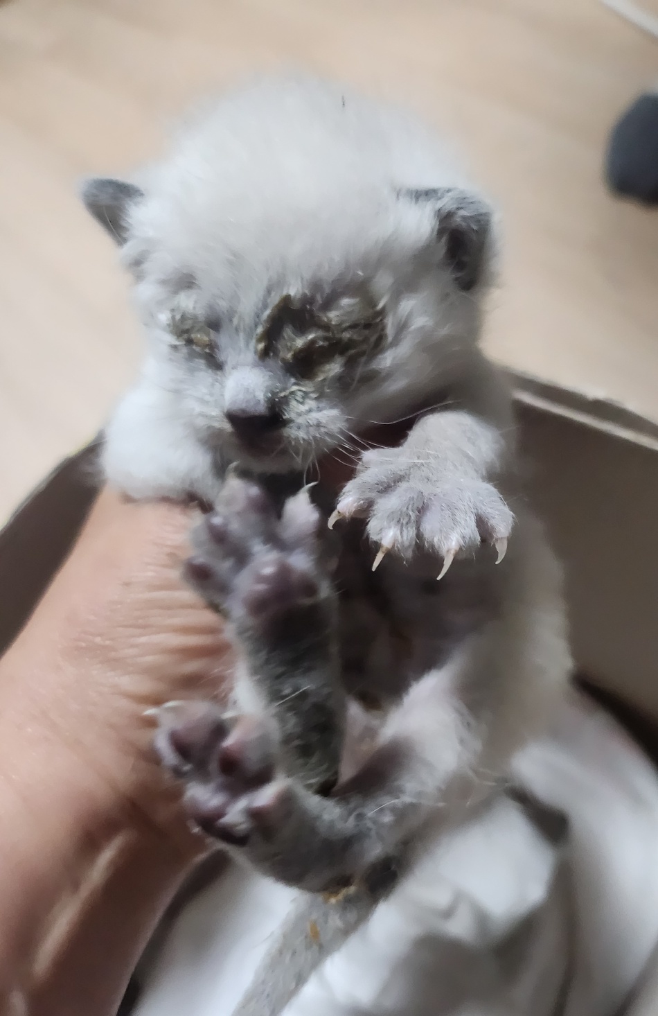 울산유기동물보호센터_431373202400397