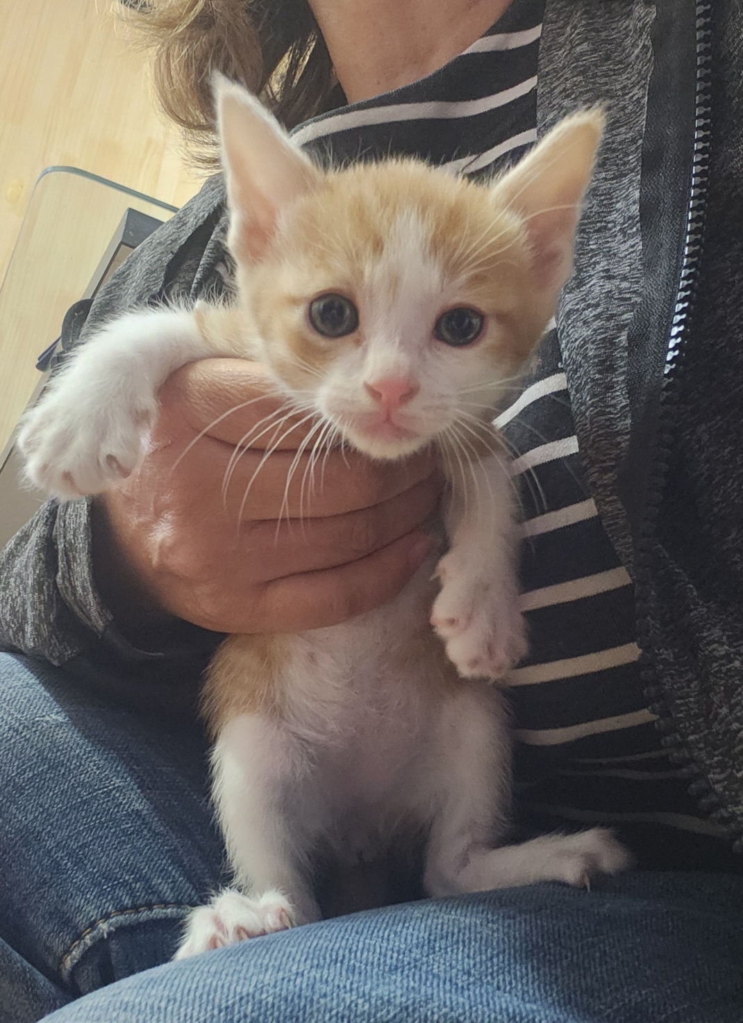 울산유기동물보호센터_431371202400140