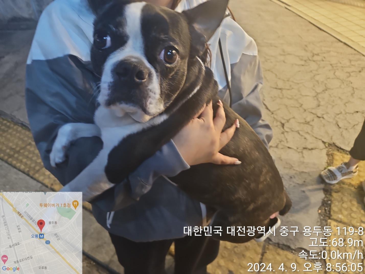 종료(반환) 보스턴…