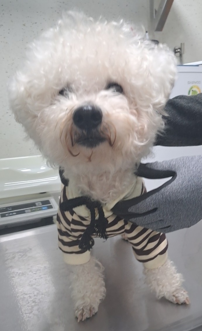 수원시 동물보호센터_441374202400364