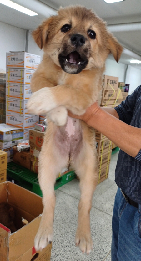 제일동물병원_444455202400189