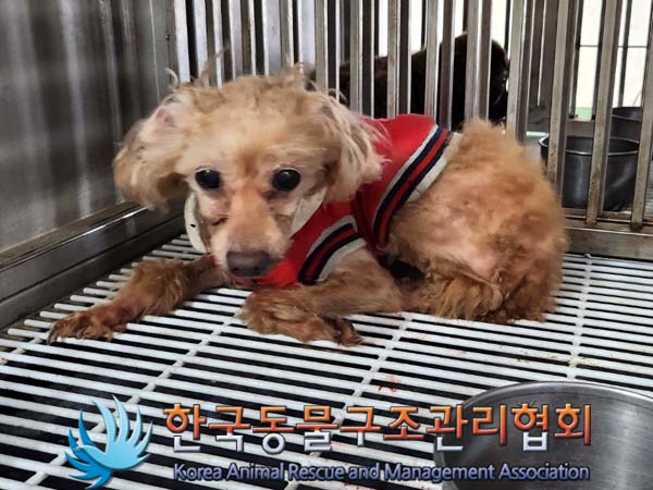 한국동물구조관리협회_441414202400200