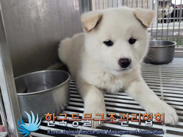 한국동물구조관리협회_441560202400382