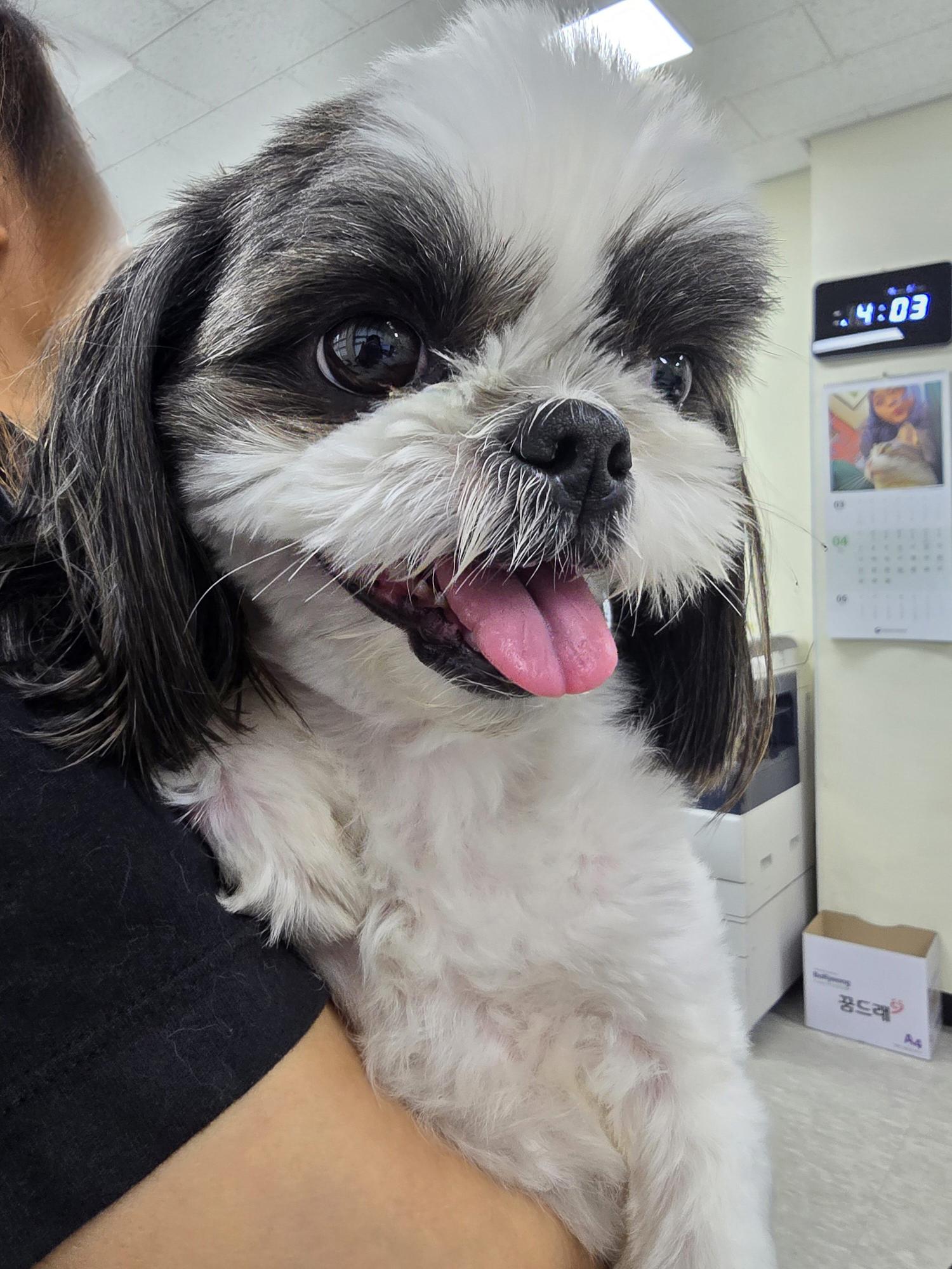 아산동물복지지원센터_444452202401081