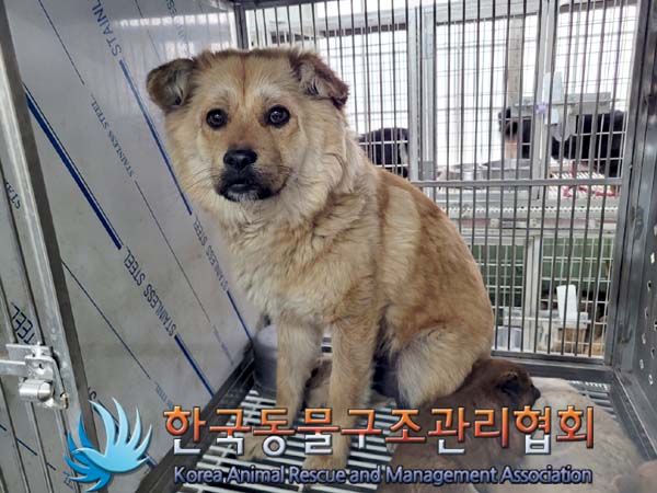 한국동물구조관리협회_441560202400381