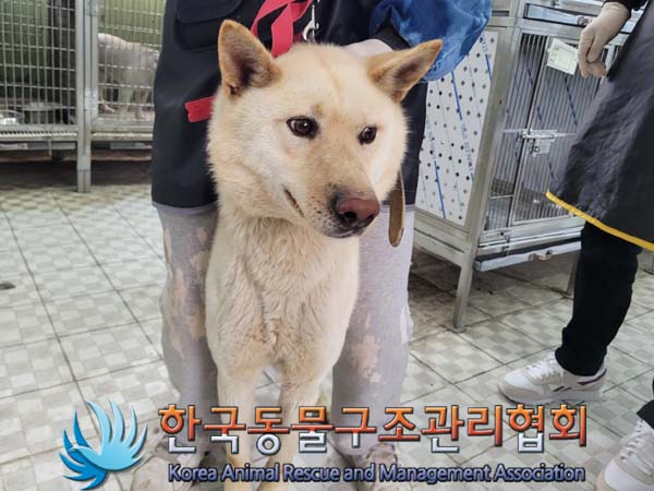 한국동물구조관리협회_441560202400385