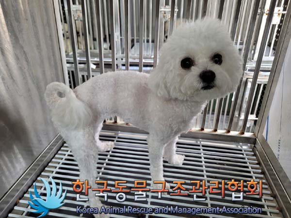 한국동물구조관리협회_411323202400418
