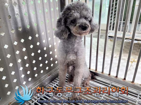 한국동물구조관리협회_411311202400173