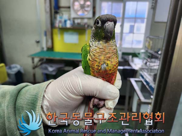 한국동물구조관리협회_411304202400129