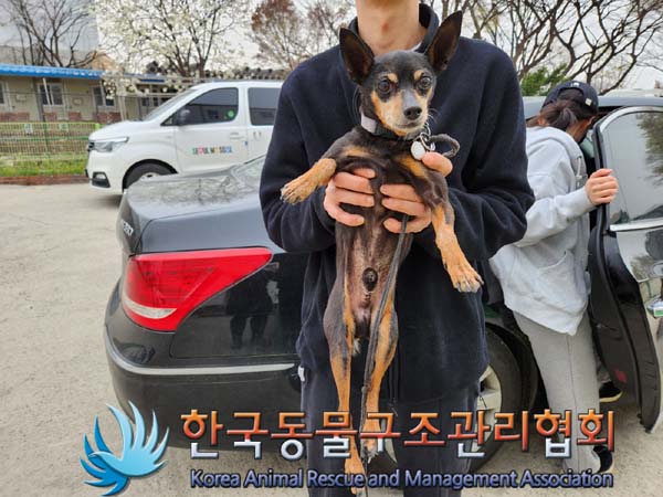 종료(반환) 미니어…