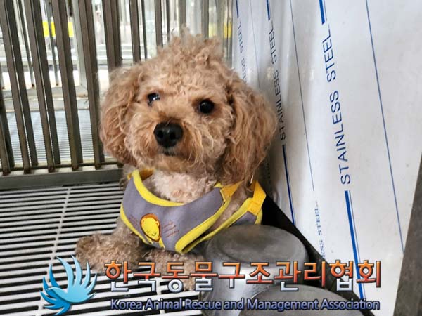 한국동물구조관리협회_441382202400274