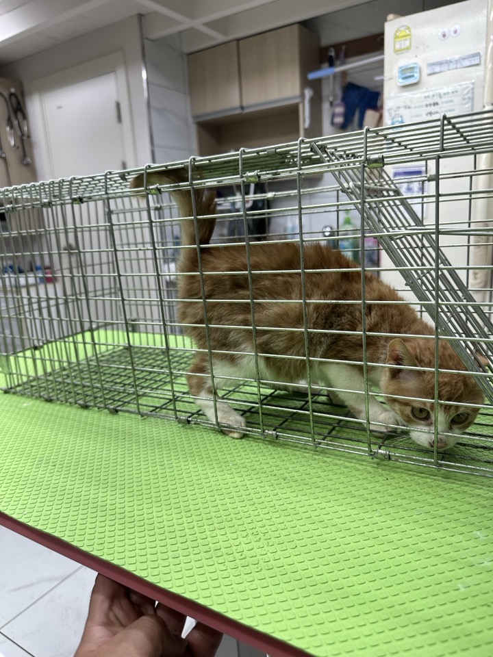 신공항동물병원_428349202400234