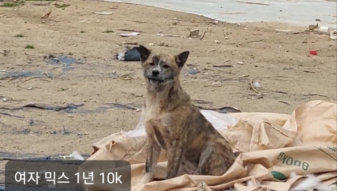 옥천동물병원_443443202400346