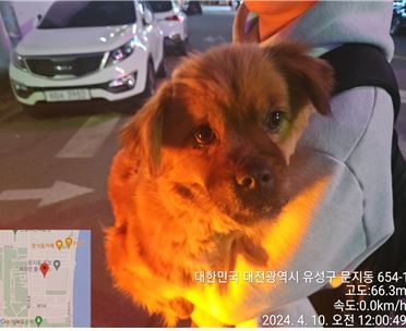 대전동물보호센터_430367202400250