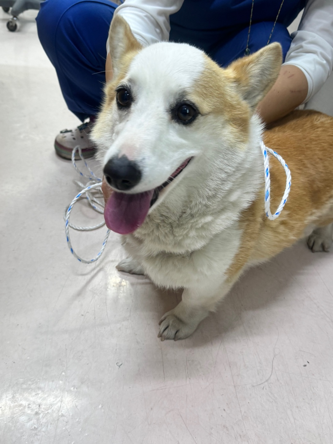대구시수의사회(동인)_427341202400098