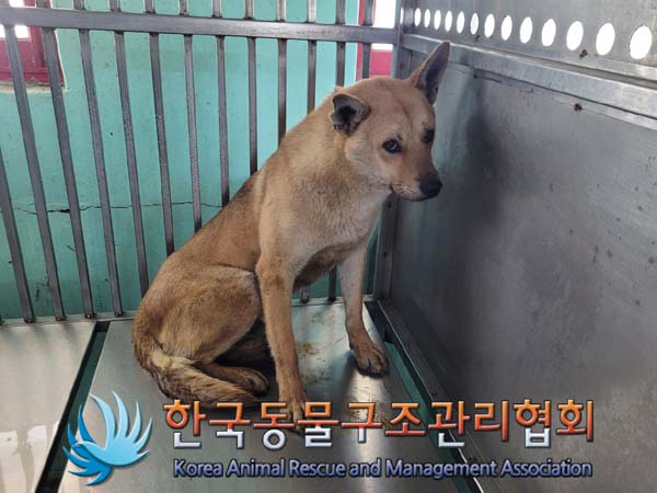 한국동물구조관리협회_441414202400214
