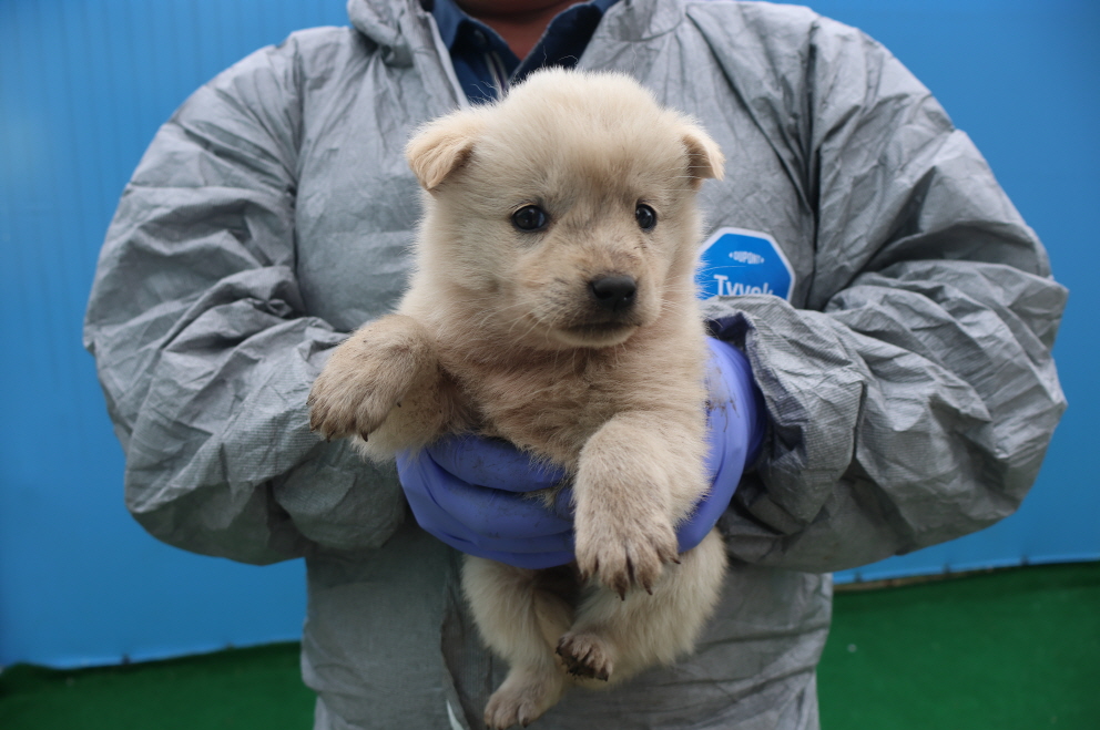 제주 동물보호센터_450650202401105