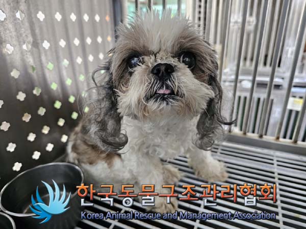 한국동물구조관리협회_411309202400070