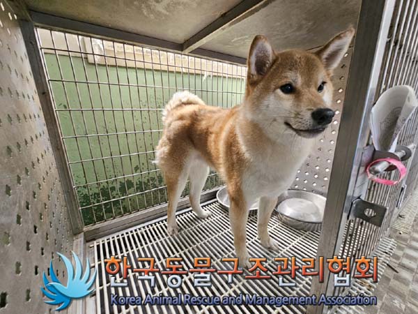 종료(반환) 시바의…