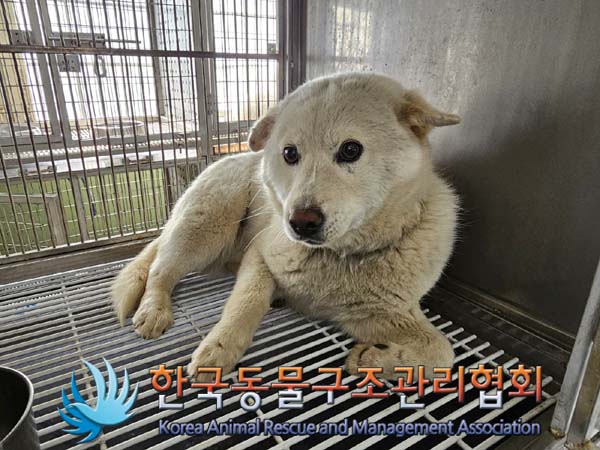 한국동물구조관리협회_441560202400406