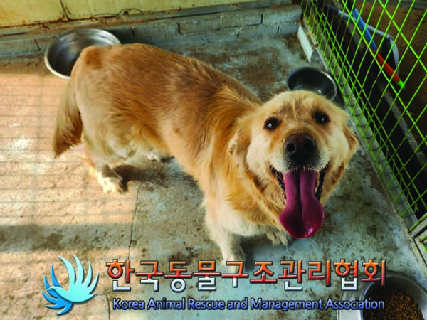 한국동물구조관리협회_441560202400412
