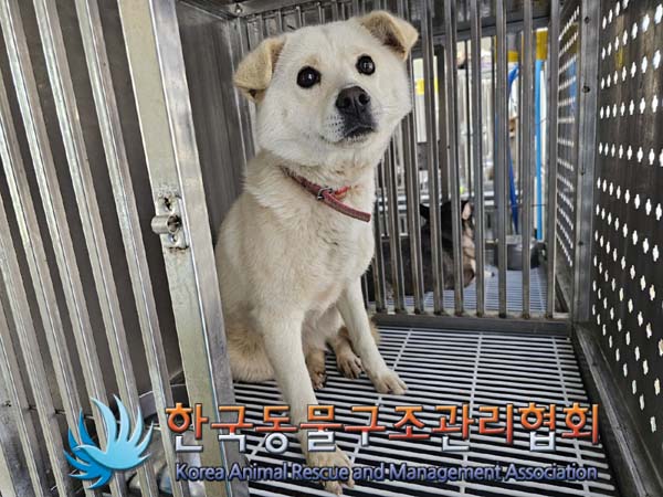 한국동물구조관리협회_441406202400587