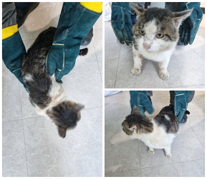 논산시 동물보호센터_444454202400270