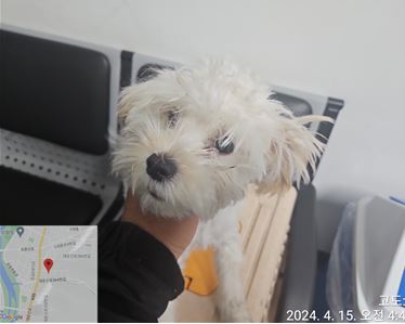 대전동물보호센터_430367202400259