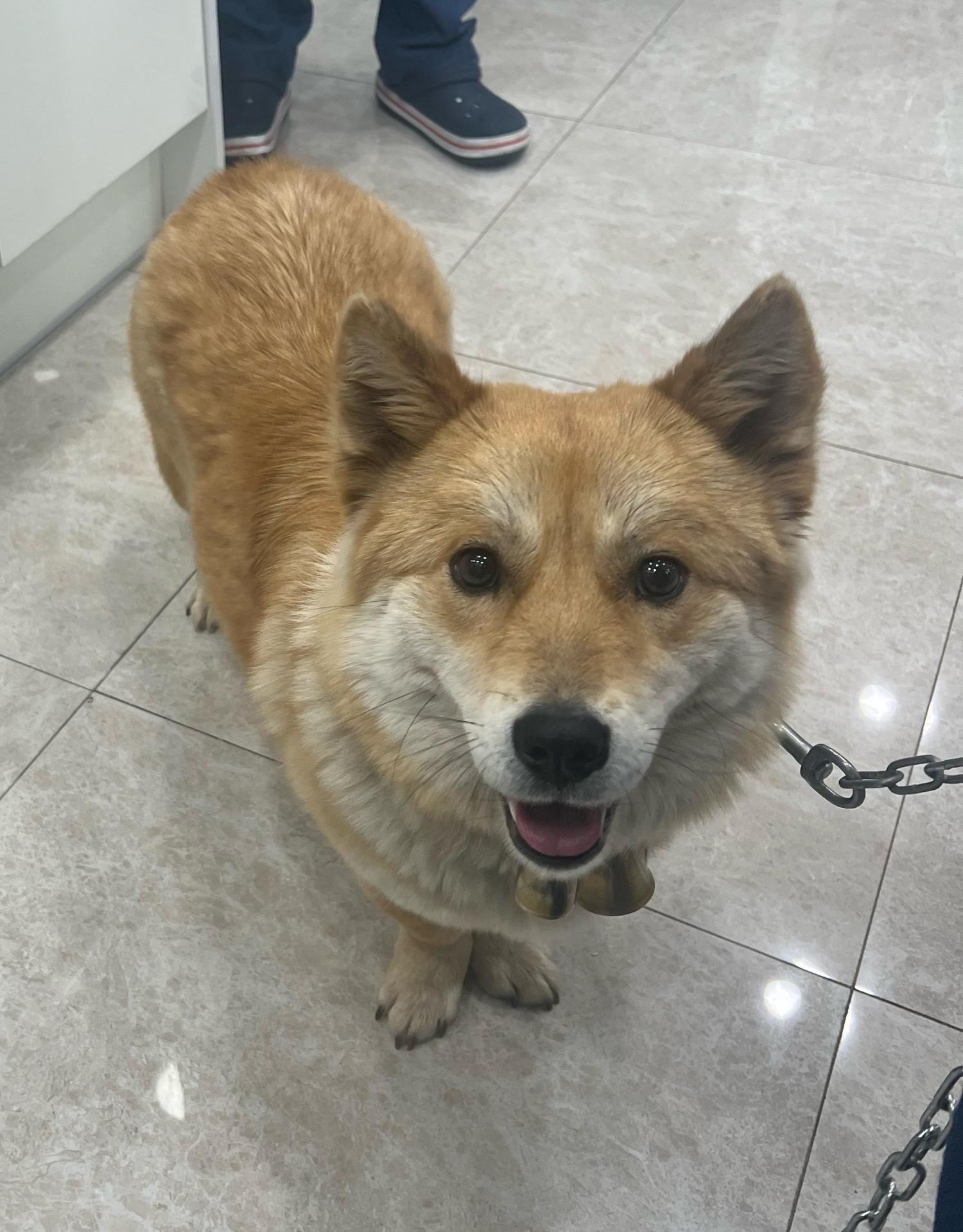현풍동물병원_427348202400346