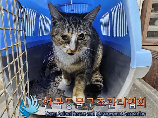 한국동물구조관리협회_411315202400176