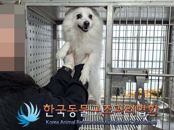 한국동물구조관리협회_411318202400100