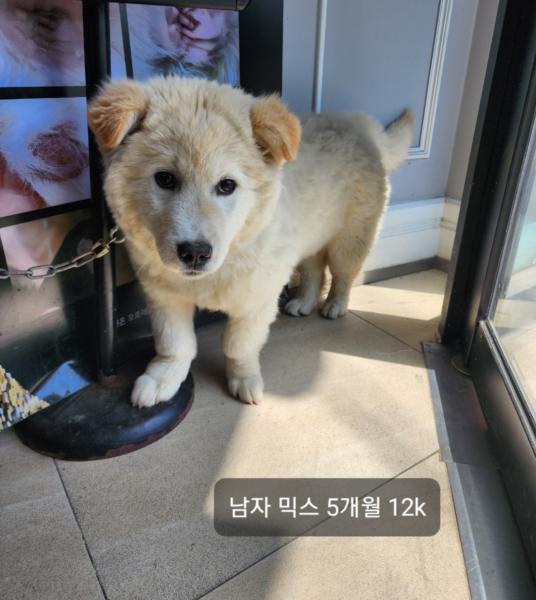 옥천동물병원_443443202400355