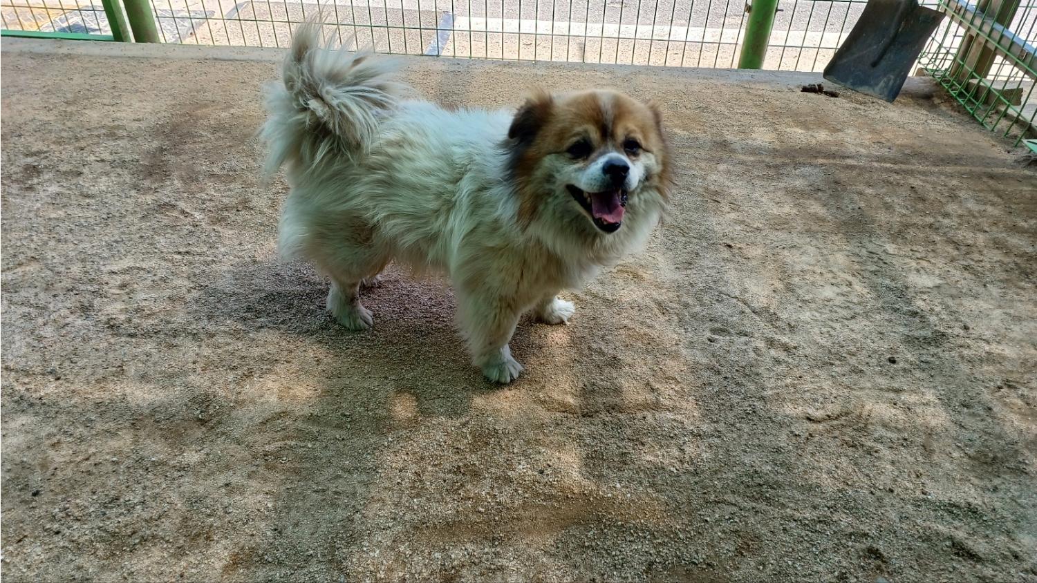 청도군동물보호소_447519202400166