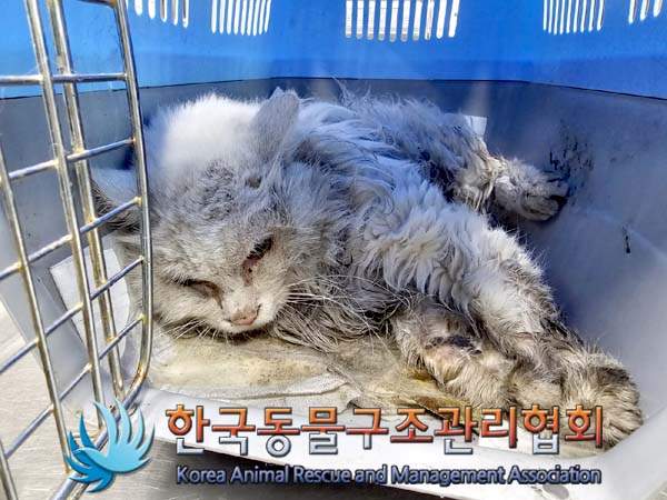 종료(자연사) 페르…