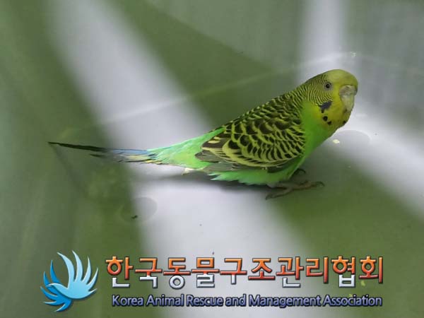 한국동물구조관리협회_411323202400465
