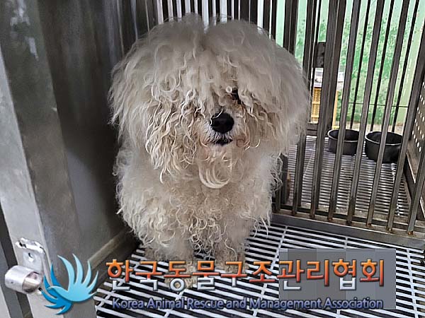 한국동물구조관리협회_441406202400597