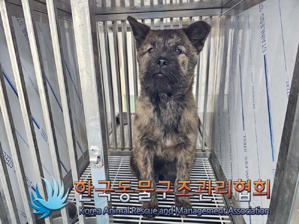 한국동물구조관리협회_441559202400342