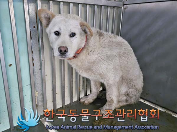 한국동물구조관리협회_441414202400232